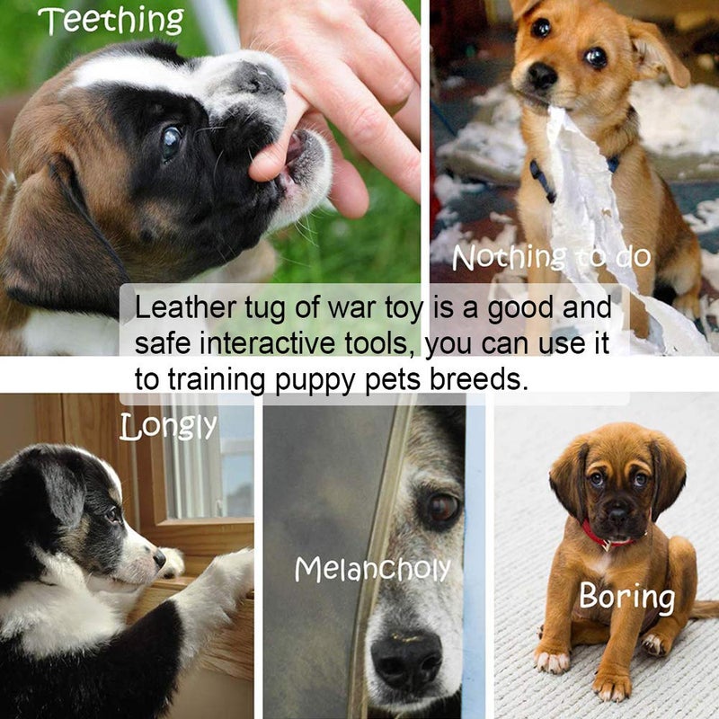 Storystore Leather Puppy Bite Rag Dog Tug Toy with Handle Tug of War Dog Toy Interactive Toys Toys for Small Medium Large Dogs Grip Development, Police K9 Training and Bite Inhibition - Image 5